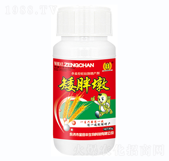 小麥控旺抗倒增產(chǎn)劑矮胖墩-金田豐
