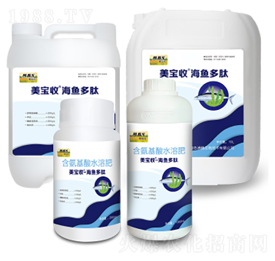 海魚(yú)多肽-美寶收-滿穗生物
