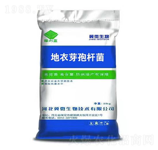 地衣芽孢桿菌-綠藍(lán)-冀微生物
