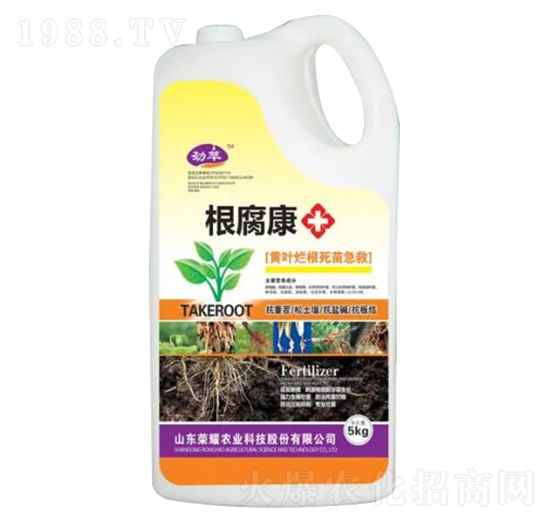 黃葉爛根死苗急救-根腐康-榮耀農業(yè)