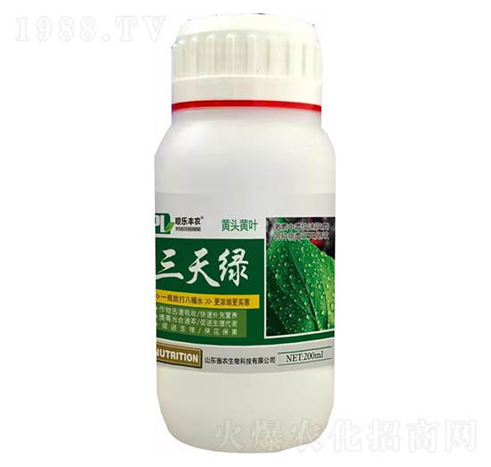 黃頭黃葉三天綠-強農生物