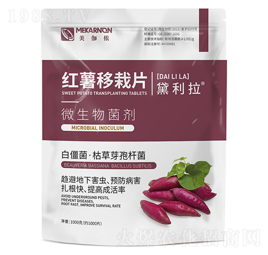 紅薯移栽片-黛利拉-美伽儂