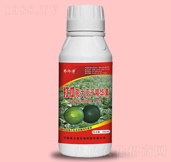 打瓜膨大高產(chǎn)精華素-郭師傅-立信生物