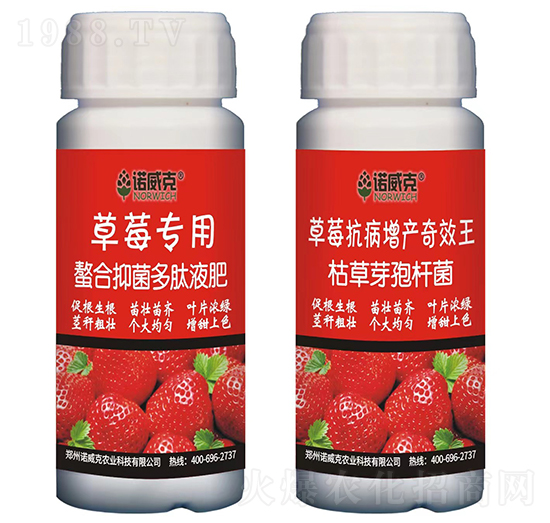 草莓專用螯合抑菌多肽液肥+草莓抗病增產奇效王-諾威克