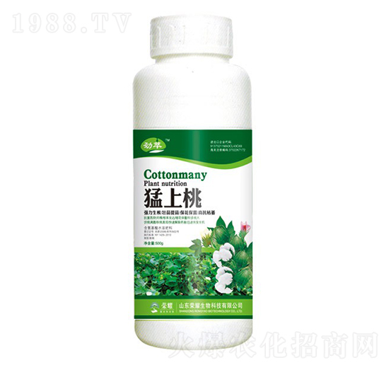 猛上桃（500g）-勁萃-榮耀農(nóng)業(yè)