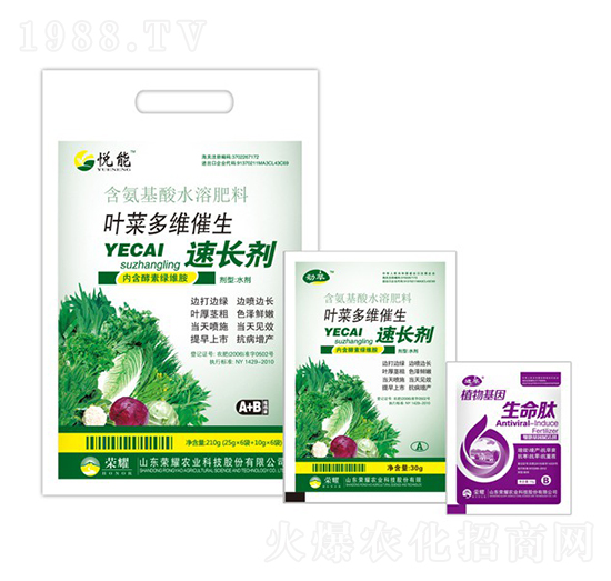 葉菜多維催生速長劑-悅能-榮耀農業(yè)
