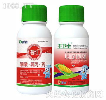 苞紅+玉衛(wèi)士-遠見農業(yè)
