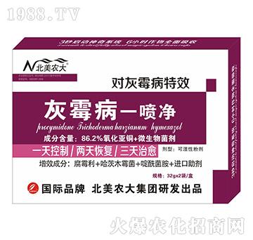 灰霉病一噴凈-北美農大