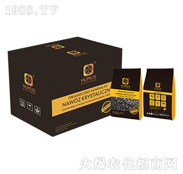 黑金互沐思