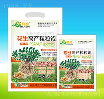 花生高產(chǎn)粒粒飽-韓邦肥業(yè)