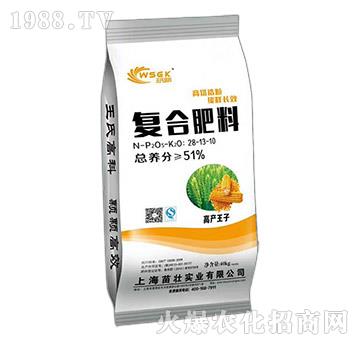 復(fù)合肥料28-13-10-苗壯實(shí)業(yè)