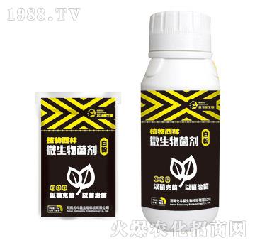 白粉專(zhuān)用微生物菌劑-植物西林-北斗星