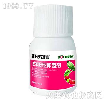 白粉型抑菌劑-粉無蹤-碩達