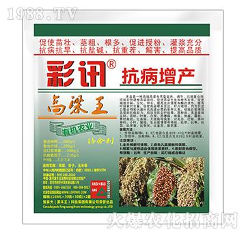 高粱王抗病增產(chǎn)絡(luò)合劑-彩訊-漯豐王