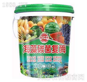 海藻碳菌復(fù)酶-田園季豐-大豐肥業(yè)