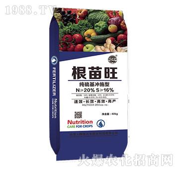 根苗旺-田園季豐-大豐肥業(yè)