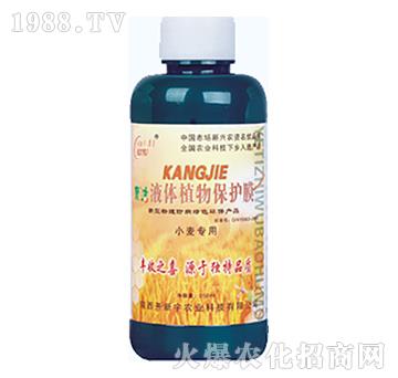 小麥專用-液體植物保護(hù)膜-開新宇