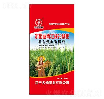 水稻返青壯秧分蘗肥-名揚肥業(yè)