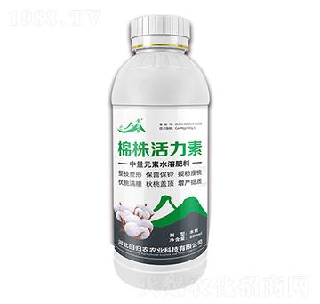 棉株活力素-黃粱夢-田歸農(nóng)
