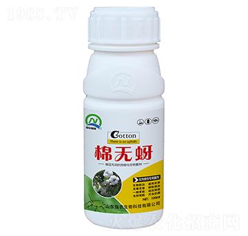 抗性蚜蟲專用菌劑-棉無蚜-強農生物