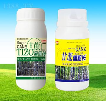 甘蔗黑粗長-華諾聯(lián)邦
