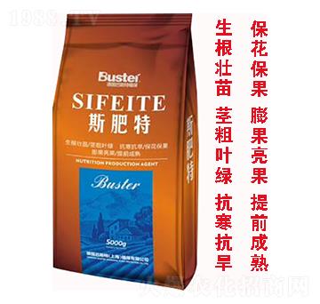 斯肥特