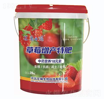 草莓增產(chǎn)特肥-正禹源-左輔
