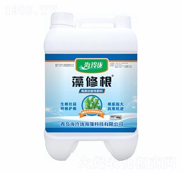 藻修根-海玲瓏
