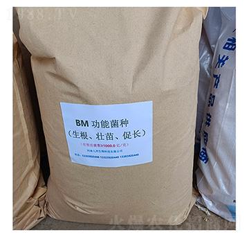 BM生物肥功能菌（生根壯苗促長(zhǎng)）-九邦生物