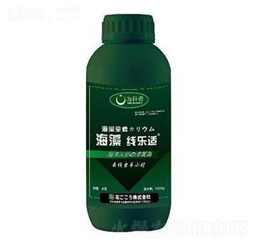 海藻線樂(lè)適-?？破? width=