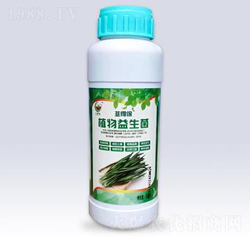 韭菜專用植物益生菌-文隆夢(mèng)陽
