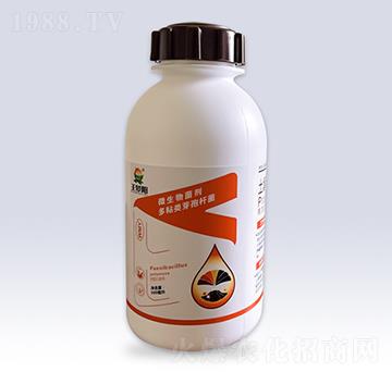 微生物菌劑多粘類芽孢桿菌-王夢(mèng)陽-文隆夢(mèng)陽