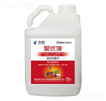 聚優(yōu)藻微生物菌劑-舟舢-新印禾