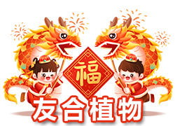 【鄭州友合植物】祝全國人民在新的一年里年年有余、歲歲平安！
