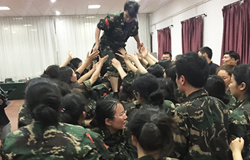 單槍匹馬難跨越，百人抱團筑長城！